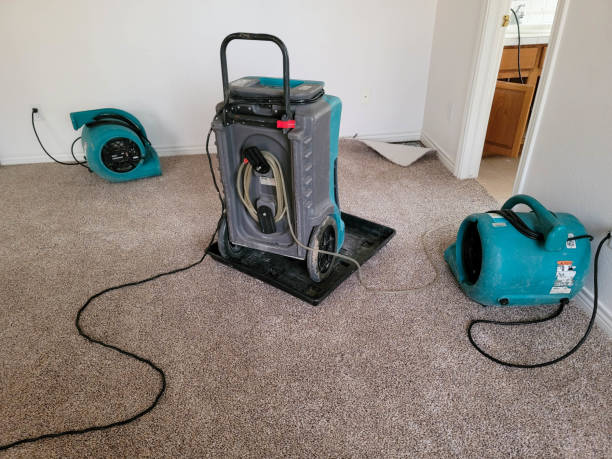 Best Water damage restoration near me  in Eleanor, WV