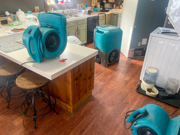 Best Residential water damage restoration  in Eleanor, WV