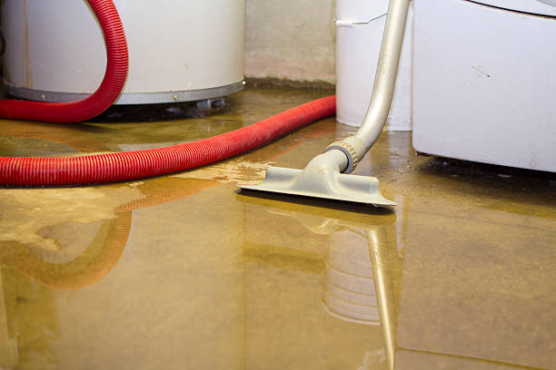 Best Ceiling water damage repair  in Eleanor, WV